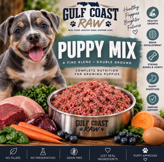 30lb Puppy Mix